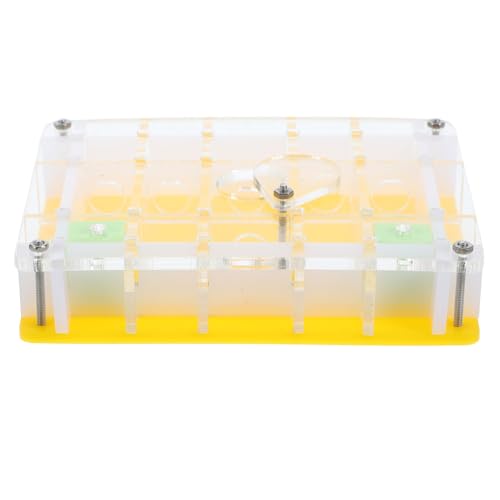WOONEKY 1 Satz Ant Nest Box aus Acryl Transparentes für Beobachtung und Fütterung von Ameisen Wissenschaftsspielzeug zur des Interesses an Naturwissenschaften WOONEKY 1 Satz Ant Nest Box aus Acryl Transparentes für Beobachtung und Fütterung von Ameisen Wissenschaftsspielzeug zur des Interesses an Naturwissenschaften von WOONEKY