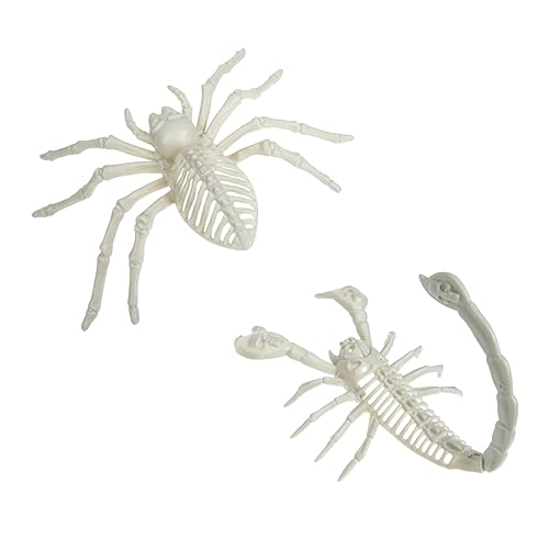 WOONEKY 1 Set Simulierte Spinne Dekoration Realistische Gefälschte Spinne Simulierte Spinne Dekoration Spinne Gefälschte Spinne Modell Gefälschte Spinne Ornament Realistische Spinne Prop WOONEKY 1 Set Simulierte Spinne Dekoration Realistische Gefälschte Spinne Simulierte Spinne Dekoration Spinne Gefälschte Spinne Modell Gefälschte Spinne Ornament Realistische Spinne Prop von WOONEKY