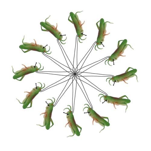 WOONEKY 12 Stück Teiliges Realistischer Insekten Spielzeuge aus für Dekoration für Themenpartys und Wissenschaftliche Erkundung Sicher und WOONEKY 12 Stück Teiliges Realistischer Insekten Spielzeuge aus für Dekoration für Themenpartys und Wissenschaftliche Erkundung Sicher und von WOONEKY