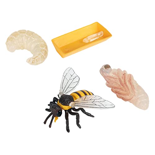 WOONEKY 1Satz Bienenlebenszyklus Teiliges Kognitionsspielzeug aus Sicherem für Frühe Bildung und Naturverständnis für Jungen WOONEKY 1Satz Bienenlebenszyklus Teiliges Kognitionsspielzeug aus Sicherem für Frühe Bildung und Naturverständnis für Jungen von WOONEKY