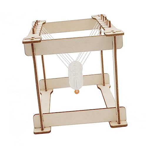 WOONEKY 1Satz DIY Newton Wissenschaftliches Experimentier Kit für Physik und Tragbar Kompakt für Schule und Bürodekoration WOONEKY 1Satz DIY Newton Wissenschaftliches Experimentier Kit für Physik und Tragbar Kompakt für Schule und Bürodekoration von WOONEKY
