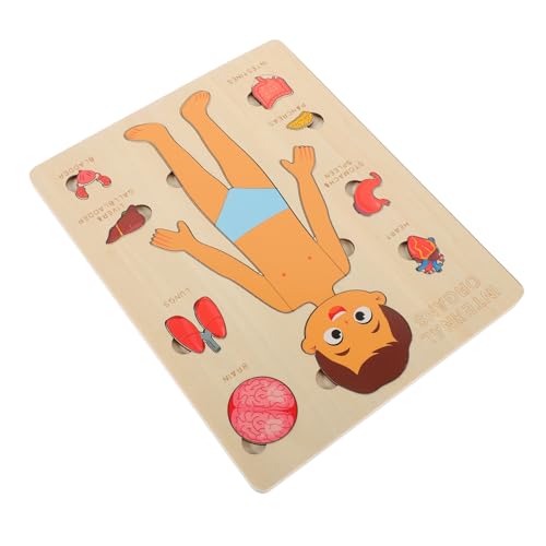 WOONEKY 1Satz Holzpuzzle für Puzzle Körperkenntnisse Lehrreiches Holzspielzeug für Jungen für Geburtstags WOONEKY 1Satz Holzpuzzle für Puzzle Körperkenntnisse Lehrreiches Holzspielzeug für Jungen für Geburtstags von WOONEKY