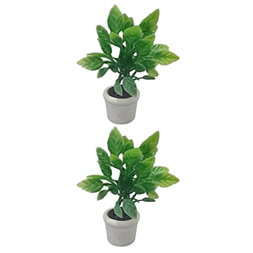 WOONEKY 2 Stück Miniatur Bonsai Pflanzen Teiliges Kunstpflanzen für Puppenhaus Dekoration Realistische Mini Topfpflanzen für Kreative Szenen und Dioramen für Feengarten und Bastelprojekte WOONEKY 2 Stück Miniatur Bonsai Pflanzen Teiliges Kunstpflanzen für Puppenhaus Dekoration Realistische Mini Topfpflanzen für Kreative Szenen und Dioramen für Feengarten und Bastelprojekte von WOONEKY