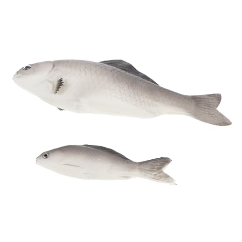 WOONEKY 2 Stück Teiliges Realistische Künstliche Fischfiguren aus PU für Aquarium Deko Naturgetreues Modell mit Lebensechtem Design Vielseitig als Lernobjekt und Unterwasser Dekoration von WOONEKY
