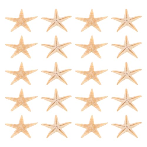 WOONEKY 20 Stück Mini Seestern Dekorationen aus Naturmaterialien für DIY Projekte für Aromatherapiekerzen und Strand Themen für Hochzeiten und Partys von WOONEKY