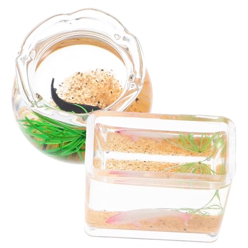 WOONEKY 2Stücke Fischschale und Fischtank Dekoration für Puppenhaus Lebensnahe Goldfischtanks für Kreative Designs von WOONEKY