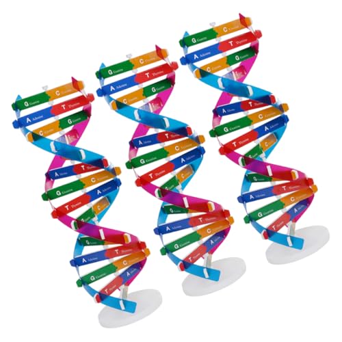 WOONEKY 3 Stück Human Genes Doppelhelix Modell für Biologische Wissenschaftsbildung und Interaktive Lernhilfe Lehrinstrument für Gruppenprojekte WOONEKY 3 Stück Human Genes Doppelhelix Modell für Biologische Wissenschaftsbildung und Interaktive Lernhilfe Lehrinstrument für Gruppenprojekte von WOONEKY