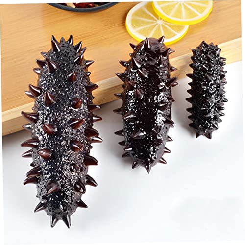 WOONEKY 3 Stück Teiliges Realistisches Sea Cucumber Modell Kindgerechtes Pädagogisches Lebensechte Nachbildung als Foto Requisite und Lernhilfe WOONEKY 3 Stück Teiliges Realistisches Sea Cucumber Modell Kindgerechtes Pädagogisches Lebensechte Nachbildung als Foto Requisite und Lernhilfe von WOONEKY