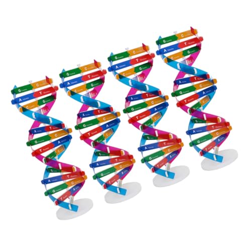WOONEKY 4 Stück Teiliges DNA Modell Wissenschaftliches Biologisches Lernspielzeug mit Doppelhelix Struktur DIY Bausatz für Genetikunterricht Präzises Lehrmaterial für Schule und Zuhause WOONEKY 4 Stück Teiliges DNA Modell Wissenschaftliches Biologisches Lernspielzeug mit Doppelhelix Struktur DIY Bausatz für Genetikunterricht Präzises Lehrmaterial für Schule und Zuhause von WOONEKY
