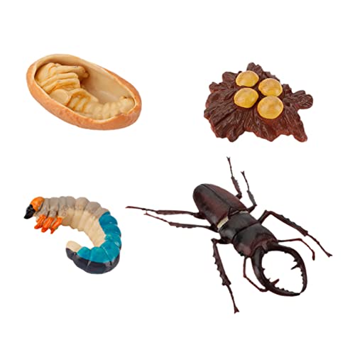 WOONEKY 4 Stück Wachstumszyklus Spielzeug kinderspielzeug Spielzeug für Kinder Zahlen zum Lebenszyklus von Tieren Lebenszyklus-Figur Ornament Spielzeuge Insektenspielzeugmodell schmücken von WOONEKY
