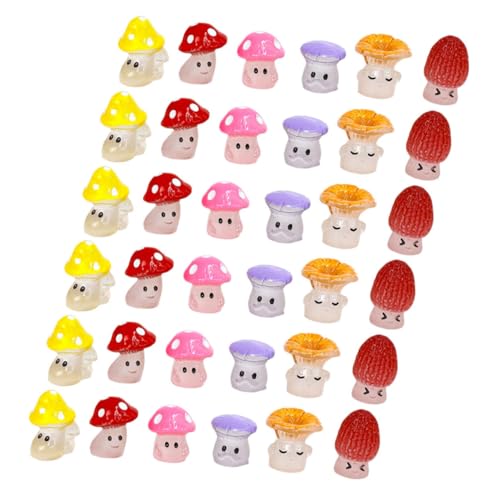 WOONEKY 48 Stück Künstliche Resin Figuren für Feengärten Terrarien und Mikro Landschaften Versatile Dekoration für Zuhause und Garten von WOONEKY