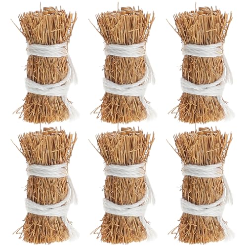 WOONEKY 6 Stück Miniatur Heuballen Realistische Gras Dekoration für Puppenhaus und Sandtisch für DIY Bastelprojekte Miniaturgarten Accessoires Mikrolandschaften von WOONEKY