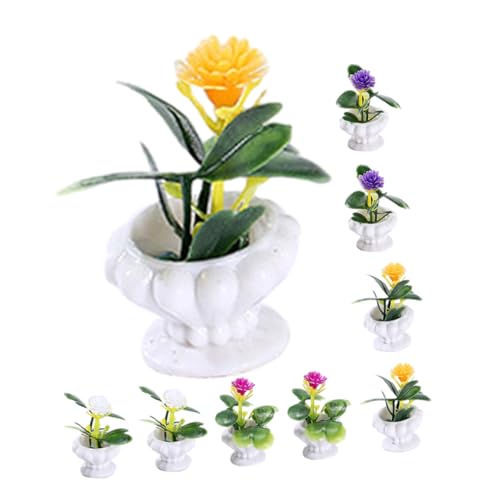 WOONEKY 8 Stück Miniaturisierte Topfpflanzen Teiliges Dekorative Bonsai Pflanzen für Puppenhaus Realistische Miniaturpflanzen Pflegeleichte Deko für Minihäuser und Foto Requisiten Farben WOONEKY 8 Stück Miniaturisierte Topfpflanzen Teiliges Dekorative Bonsai Pflanzen für Puppenhaus Realistische Miniaturpflanzen Pflegeleichte Deko für Minihäuser und Foto Requisiten Farben von WOONEKY