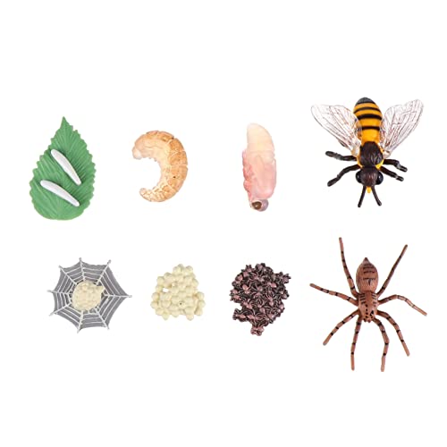 WOONEKY 8 Stück Teiliges Insekten Modellset aus Lebenszyklus für Realistische Biene und Spinne Figuren Lernspielzeug Kreativität und Vorstellungskraft von WOONEKY