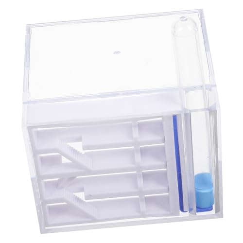 WOONEKY Ameisenfarm Kit mit Integriertem Nest Pädagogisches Beobachtungsset für Erwachsene für Experimente und Wissenschaftliches Lernen Einfache Handhabung und Pflege von Kleinen Ameisen WOONEKY Ameisenfarm Kit mit Integriertem Nest Pädagogisches Beobachtungsset für Erwachsene für Experimente und Wissenschaftliches Lernen Einfache Handhabung und Pflege von Kleinen Ameisen von WOONEKY