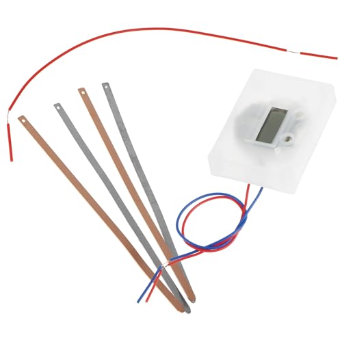 WOONEKY DIY Fruit Battery Kit mit Obst Uhr Wissenschaftliches Experimentierset für Schüler Zuverlässiges Material Sichere und Langlebige Lernspielzeug für Schule und Zuhause von WOONEKY