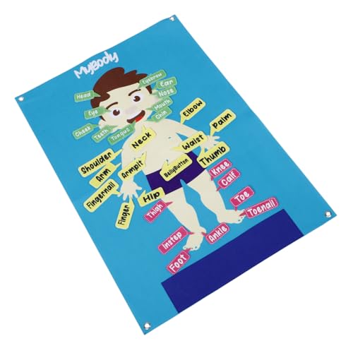 WOONEKY Großes Filz lerntafel Menschlicher Körper für Vorschulkinder Interaktives Activity Board zur Kognitiven Entwicklung Fördert Sprach Kommunikationsfähigkeiten Sicher und Robust für von WOONEKY