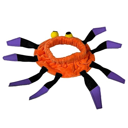 WOONEKY Halloween Katzenhalsband mit Spinnenmuster Einstellbares Dekoratives Halsband für Haustiere für Halloween Partys Geburtstagsgeschenke und Festliche Anlässe Komfortables Design für WOONEKY Halloween Katzenhalsband mit Spinnenmuster Einstellbares Dekoratives Halsband für Haustiere für Halloween Partys Geburtstagsgeschenke und Festliche Anlässe Komfortables Design für von WOONEKY