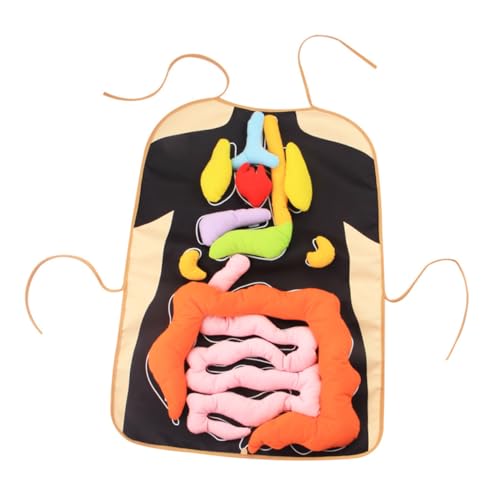WOONEKY Human Organs Apron Kinderspielzeug Montessori Modell Lernhilfe für Frühkindliche Kognition und Körperbewusstsein Pädagogisches Rollenspiel Zubehör WOONEKY Human Organs Apron Kinderspielzeug Montessori Modell Lernhilfe für Frühkindliche Kognition und Körperbewusstsein Pädagogisches Rollenspiel Zubehör von WOONEKY