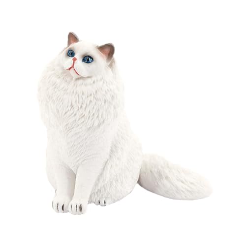 WOONEKY Kunststoff Katze Figurine Realistisches Tiermodell als Dekoration und Lehrmittel Vielseitig Einsetzbar für Haustierliebhaber Langlebig und Geruchsfrei von WOONEKY