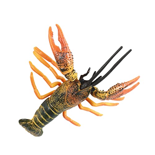 WOONEKY Lebendiges Lobster Modell Imitiertes Hummer Seekreatur für Lustiges Tischdekor und Lernspielzeug für Lernen und Spielspaß von WOONEKY