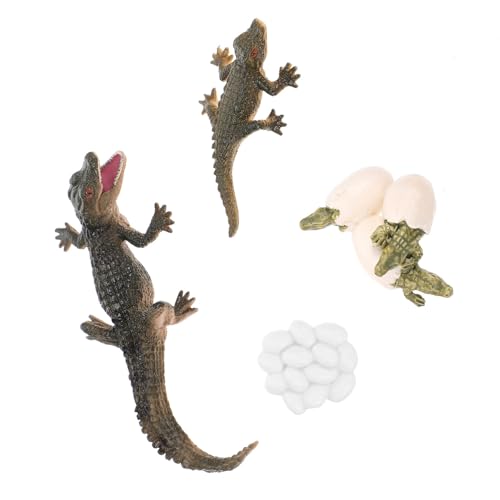 WOONEKY Lebenszyklus Krokodil Figur Plastisch Realistische Wachstum Stadien Lernspielzeug Vorschule Pädagogisch Tiere Zoo Figuren Simulation Geschenk von WOONEKY