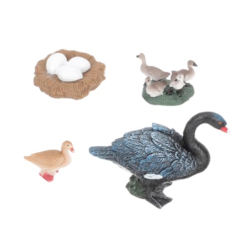 WOONEKY Lernspielzeug Lebenszyklus Modell Kunststoff Tierfiguren Spielset Pädagogisch Kreativ für Jungen Mädchen Naturerfahrung und Tierentwicklung WOONEKY Lernspielzeug Lebenszyklus Modell Kunststoff Tierfiguren Spielset Pädagogisch Kreativ für Jungen Mädchen Naturerfahrung und Tierentwicklung von WOONEKY