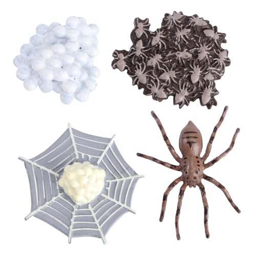 WOONEKY Miniatur-Tier-Evolutionsmodell Lebenszyklus-Set für Spinnen zum Lernen für Kinder und als Heimdekoration WOONEKY Miniatur-Tier-Evolutionsmodell Lebenszyklus-Set für Spinnen zum Lernen für Kinder und als Heimdekoration von WOONEKY