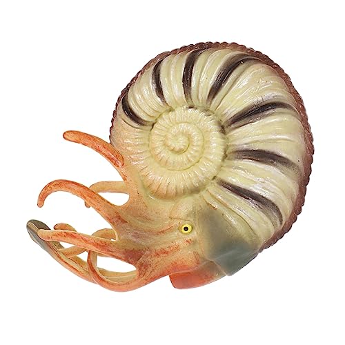WOONEKY Nautilus Modell Lebensechte Meerestiere Figur Dekoration für Aquarien Detailreiches Nautilus Ornament Attraktives für Sammler von WOONEKY