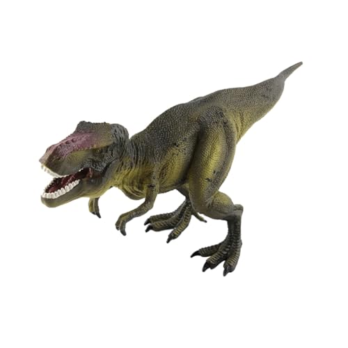 WOONEKY Plastik Dinosaurier Modell Figur Simulation Carnosaur Statue Dekoration für Bücherregal Desktop Kinderspielzeug Geschenk Sammlung WOONEKY Plastik Dinosaurier Modell Figur Simulation Carnosaur Statue Dekoration für Bücherregal Desktop Kinderspielzeug Geschenk Sammlung von WOONEKY