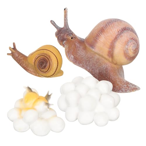 WOONEKY Realistische Tierwachstumszyklus Modelle Pädagogisches Lernspielzeug für Montessori Frühe Bildung Schnecken Küken Lebenszyklus Figuren Interaktives Forschen von WOONEKY