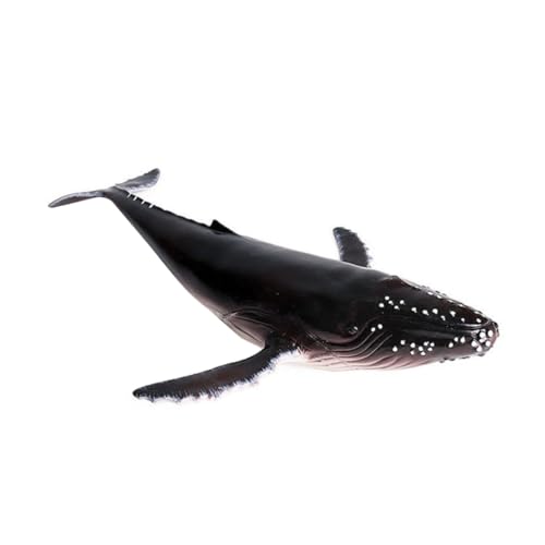 WOONEKY Realistisches Buckelwal Modell aus Hochwertigem Kunststoff Lebensechte Meereslebewesen Figur Dekoratives Sammelobjekt für Zuhause Büro und Aquarium Dekoration von WOONEKY