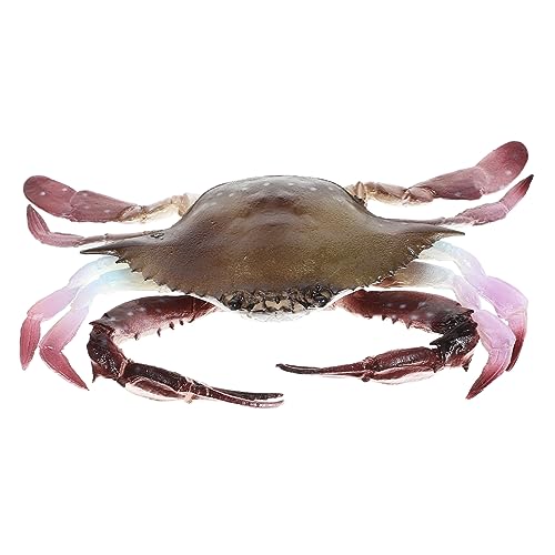 WOONEKY Realistisches Krabbenmodell aus Dekoratives für Aquarien und Lernspielzeug Krabbenförmige Figur für Deko WOONEKY Realistisches Krabbenmodell aus Dekoratives für Aquarien und Lernspielzeug Krabbenförmige Figur für Deko von WOONEKY