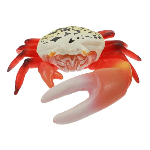 WOONEKY Realistisches Modell aus Naturgetreue Simulation Pädagogisches Meeres Tier Dekoration für Aquarium Lernspielzeug WOONEKY Realistisches Modell aus Naturgetreue Simulation Pädagogisches Meeres Tier Dekoration für Aquarium Lernspielzeug von WOONEKY