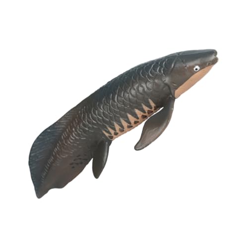 WOONEKY Realistisches Pirarucu Fischmodell aus Solidem Kunststoff Detailgetreues Meerestier zur Frühkindlichen Bildung Langlebig und Handlich als Dekoratives Lernspielzeug WOONEKY Realistisches Pirarucu Fischmodell aus Solidem Kunststoff Detailgetreues Meerestier zur Frühkindlichen Bildung Langlebig und Handlich als Dekoratives Lernspielzeug von WOONEKY