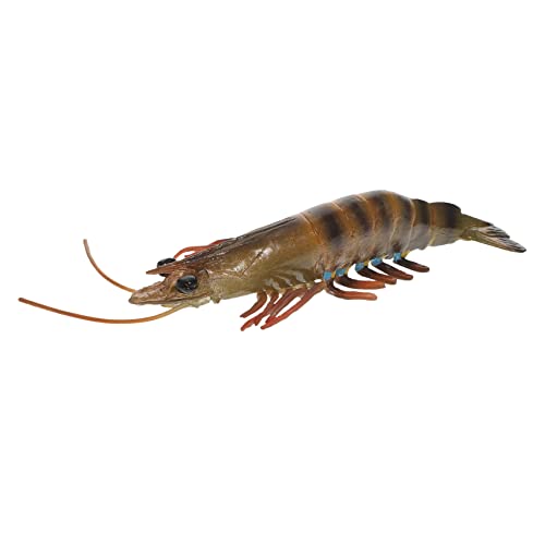 WOONEKY Realistisches Shrimps Modellspielzeug aus Hochwertigem Kunststoff Pädagogisches Lernspielzeug für Kreative Spiele und Frühe Bildung von WOONEKY