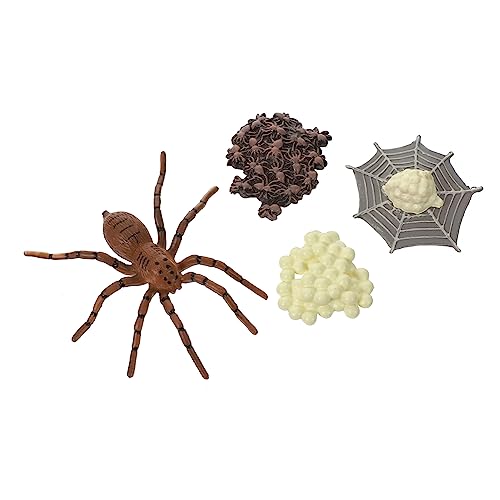 WOONEKY Realistisches Spinnen Lebenszyklusmodell Teiliges Pädagogisches Tierspielzeug für Lernspielzeug und Dekoration WOONEKY Realistisches Spinnen Lebenszyklusmodell Teiliges Pädagogisches Tierspielzeug für Lernspielzeug und Dekoration von WOONEKY