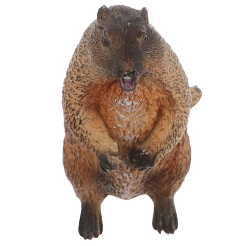 WOONEKY Realistisches Stehendes Modell Wildtierfigur für Lernspielzeug Kognitiven Fähigkeiten Dekoration für Zuhause und Büro Tierfigur von WOONEKY