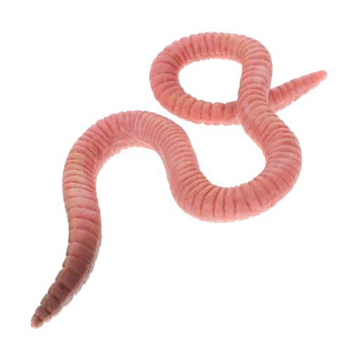 WOONEKY Regenwurm-Modellspielzeug realistische Tierfiguren Künstliche Regenwürmer tierfiguren für Kinder kinderzimmerdeko Kinderspielzeug plastische Ornamente realistische Regenwurmmodelle WOONEKY Regenwurm-Modellspielzeug realistische Tierfiguren Künstliche Regenwürmer tierfiguren für Kinder kinderzimmerdeko Kinderspielzeug plastische Ornamente realistische Regenwurmmodelle von WOONEKY