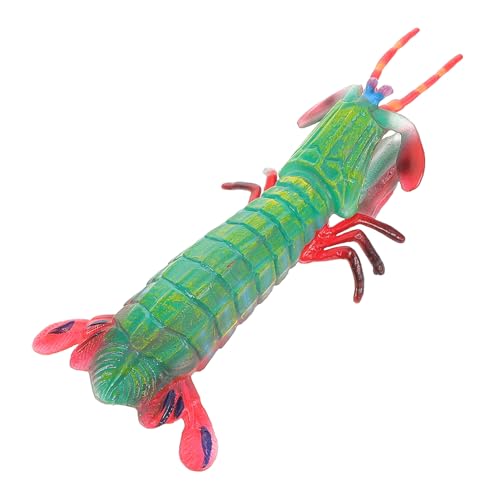 WOONEKY Fangschreckenkrebs Modell für Kinder Realistische Garnelenfigur Simuliertes Meerestier Spielzeug Pädagogisches Lernspielzeug Kognitive Fähigkeiten Fördern von WOONEKY