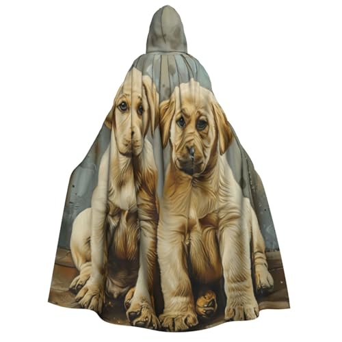 Umhang mit Kapuze, für Herren, Damen, Erwachsene, für Cosplay, Halloween, Weihnachten, Karneval, Partys Umhang mit Kapuze, für Herren, Damen, Erwachsene, für Cosplay, Halloween, Weihnachten, Karneval, Partys von WOmeng