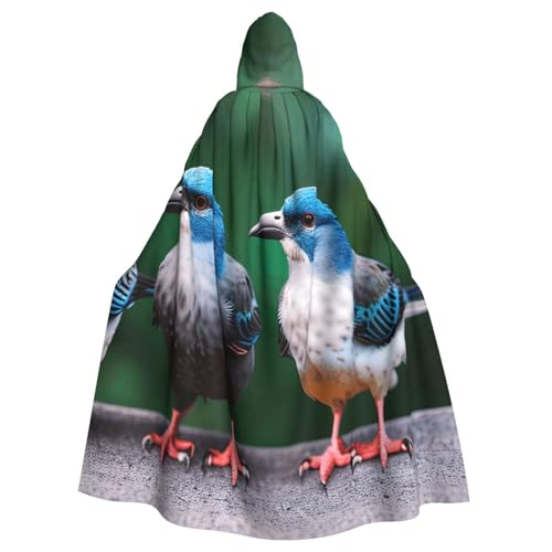 WOmeng Halloween-Umhang mit zwei Vögeln, Unisex, mit Kapuze, mittelalterliche Farben, Kostüm, Cosplay, Party WOmeng Halloween-Umhang mit zwei Vögeln, Unisex, mit Kapuze, mittelalterliche Farben, Kostüm, Cosplay, Party von WOmeng