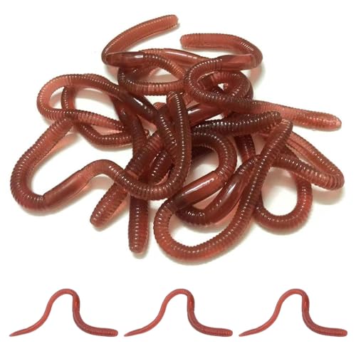10 Stück Künstlicher Regenwürmer, Kunststoff Lebensechter Würmer zum Angeln, Weiche Bräunlichrot Gefälschter Regenwurm für Halloween Aprilscherz Unfug Partydekoration - 18 cm x 0.8 cm 10 Stück Künstlicher Regenwürmer, Kunststoff Lebensechter Würmer zum Angeln, Weiche Bräunlichrot Gefälschter Regenwurm für Halloween Aprilscherz Unfug Partydekoration - 18 cm x 0.8 cm von WQNNQW
