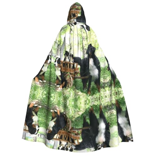 WQUVMDS Kapuzenumhang für Erwachsene, Unisex, für Halloween, Cosplay, Vampire, Umhang WQUVMDS Kapuzenumhang für Erwachsene, Unisex, für Halloween, Cosplay, Vampire, Umhang von WQUVMDS