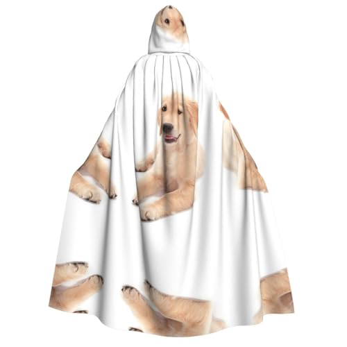 WQUVMDS Umhang mit Kapuze, Unisex, für Erwachsene, für Halloween, Cosplay, Vampire, Umhang WQUVMDS Umhang mit Kapuze, Unisex, für Erwachsene, für Halloween, Cosplay, Vampire, Umhang von WQUVMDS