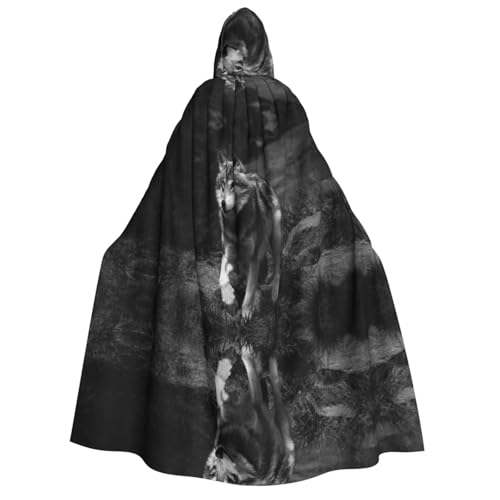 WQUVMDS Umhang mit Kapuze für Erwachsene, Unisex, für Halloween, Cosplay, Vampire, Umhang WQUVMDS Umhang mit Kapuze für Erwachsene, Unisex, für Halloween, Cosplay, Vampire, Umhang von WQUVMDS