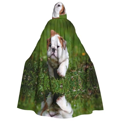 WQUVMDS Umhang mit Kapuze für Erwachsene, Unisex, für Halloween, Cosplay, Vampire, Umhang WQUVMDS Umhang mit Kapuze für Erwachsene, Unisex, für Halloween, Cosplay, Vampire, Umhang von WQUVMDS
