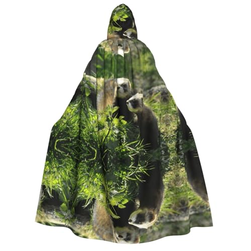 WQUVMDS Umhang mit Kapuze für Erwachsene, Unisex, für Halloween, Cosplay, Vampire, Umhang WQUVMDS Umhang mit Kapuze für Erwachsene, Unisex, für Halloween, Cosplay, Vampire, Umhang von WQUVMDS