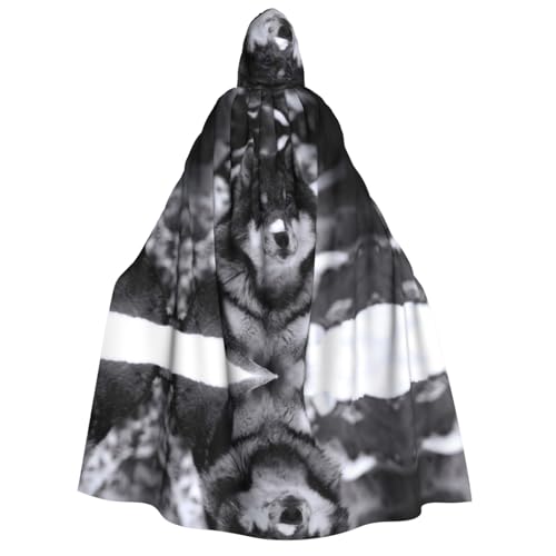 WQUVMDS Unisex Erwachsene Kapuzenumhang Umhang Halloween Cosplay Kostüme Vampire Umhang WQUVMDS Unisex Erwachsene Kapuzenumhang Umhang Halloween Cosplay Kostüme Vampire Umhang von WQUVMDS