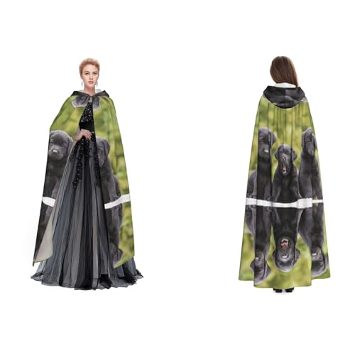 WQUVMDS Unisex Kapuzenumhang mit Kapuze (Labrador Retriever) für Halloween, Hexenparty, mit Kapuze, für Erwachsene, Vampirumhang von WQUVMDS